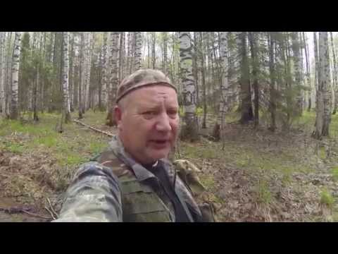 Видео: Лесной поход - 3