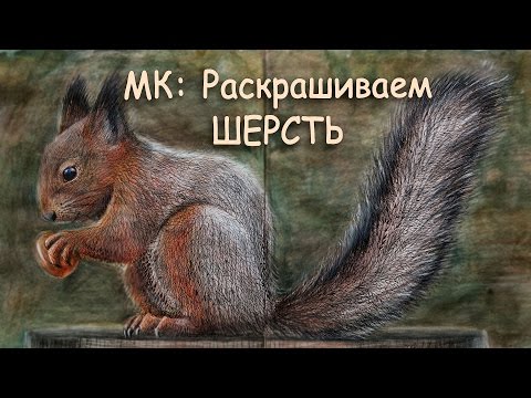 Видео: МК: ШЕРСТЬ ЖИВОТНЫХ / Раскраска "Нетронутая Красота"