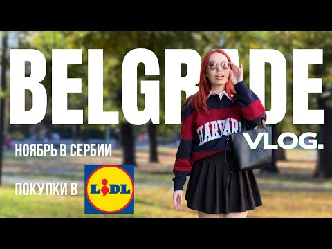 Видео: Осенний Белград в ноябре и НАШИ ПОКУПКИ в Lidl