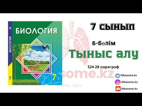 Видео: 7-сынып Тыныс алу §24-28 тақырып 6-бөлім / Ribosome.kz / Ерік Әділ