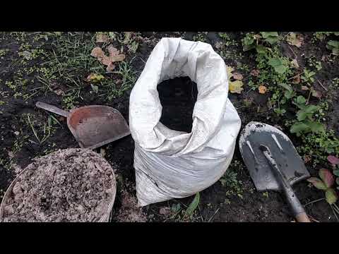 Видео: Как посадить правильно осенью саженец винограда