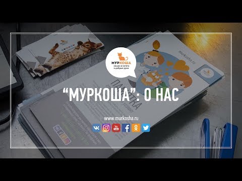 Видео: О нас (частный приют для кошек "Муркоша")