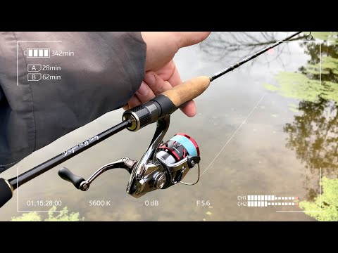 Видео: Добро пожаловать в Семью! Crazy Fish Arion 702ULS