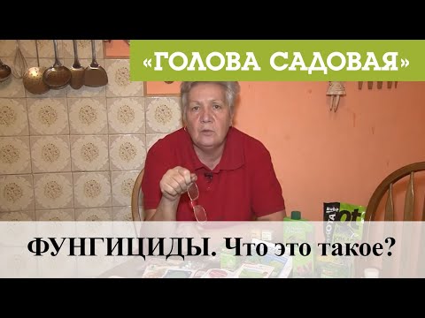 Видео: Голова садовая - ФУНГИЦИДЫ. Что это такое?