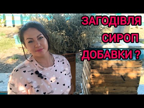 Видео: Наш формат загодівлі бджіл в зиму. Чи потрібен відвар полину + піжма? Концентрація сиропу