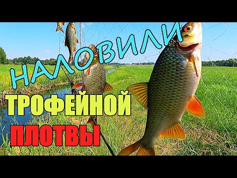 Видео: НАЛОВИЛИ КУЧУ РЫБЫ!!! Удачная рыбалка на экраны-телевизоры.