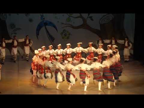Видео: Крайдунавски танц