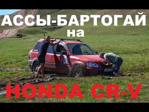 Видео: Асы - Бартогай на паркетнике. HONDA CRV может! #асы #бартогай #хонда #cr-v #honda #crv #RD1 #offroad