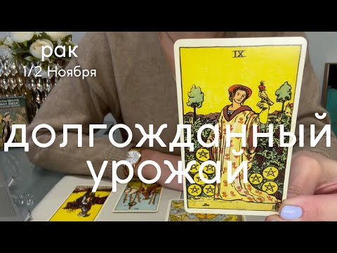 Видео: РАК : Долгожданный урожай | Вторая половина Ноября 2024 таро