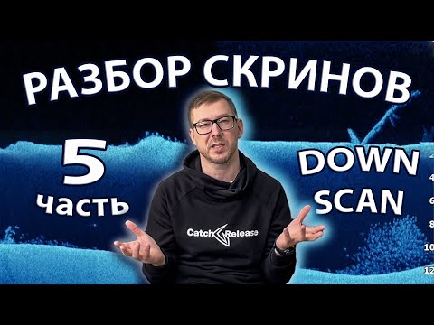 Видео: Разбор скринов. Часть 5. DownScan. Судак, щука, бель…