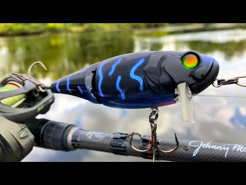 Видео: СТРАШНАЯ приманка Wake Bait разбудила несколько БОЛЬШИХ речных мальков (действие на поверхности в...