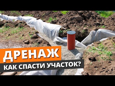 Видео: СРОЧНО нужен дренаж участка ПОКА НЕ ПОЗДНО! / Как сделать дренаж качественно?