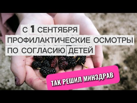 Видео: С 1 сентября профилактические осмотры по согласию детей. Так решил Минздрав.