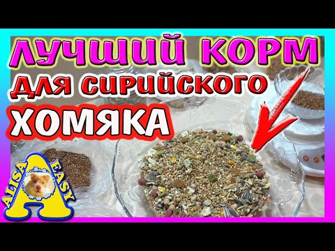 Видео: КАК СДЕЛАТЬ КОРМ ДЛЯ ХОМЯКА / МЕШАНИНА ДЛЯ СИРИЙСКОГО ХОМЯКА / Alisa Easy Pets