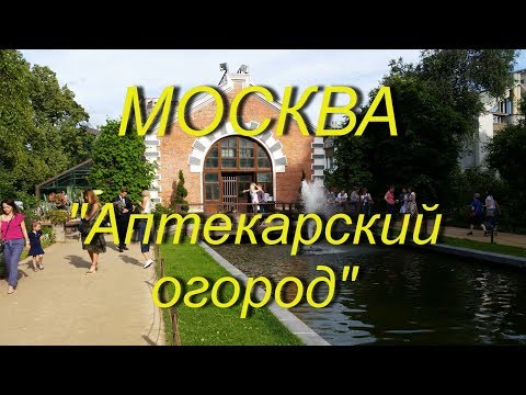 Видео: Москва. "Аптекарский огород" Ботанический сад МГУ. Выставка пионов