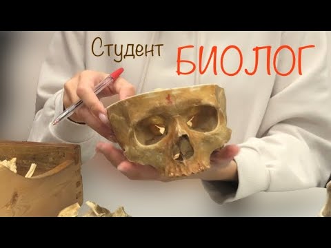 Видео: ВЛОГ: УрФУ | жизнь на БИОФАКЕ + конспекты