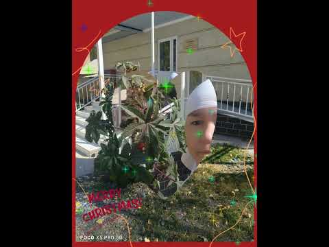 Видео: 16 октября 2025 г.