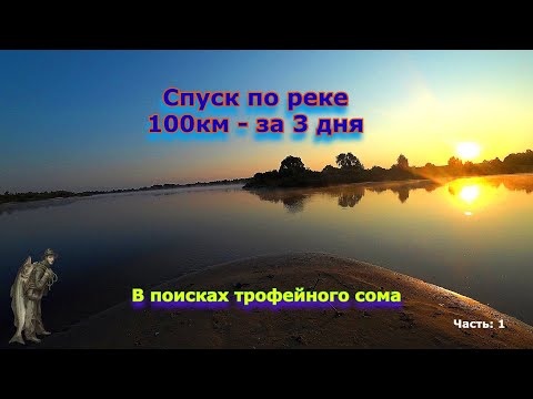 Видео: Ловля сома на КВОК. В поисках трофейного сома. Часть 1.