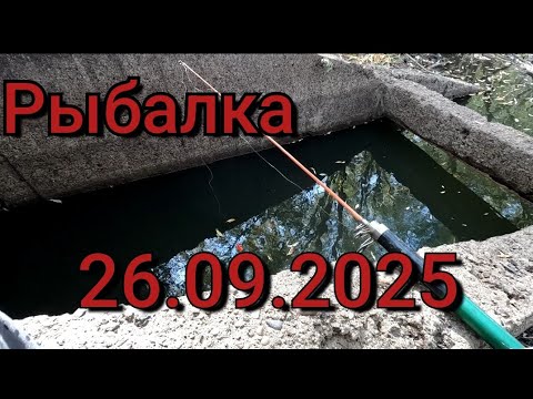 Видео: Рыбалка на поплавок 26 сентября 2025 г.На дикой микро речки!Эти рыбины топят поплавок на дно!