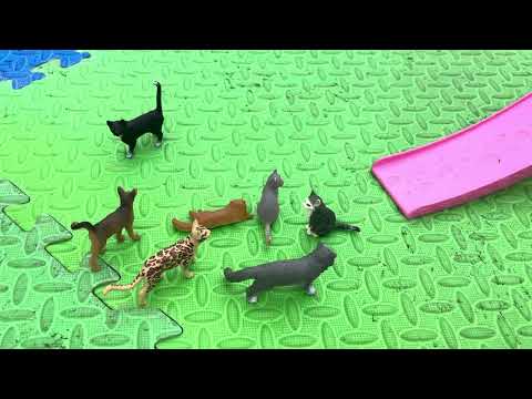 Видео: КОШЕЧКИ ШТРИХИ ХОРРОР 5 часть 2 серия Хэллоуинские ужасы #catsstrokes #кошечкиштрихи 