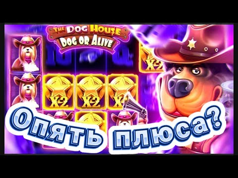 Видео: МЕГА ПЛЮСОВАЯ СЕССИЯ В The Dog House Dog Or Alive  ЭТО МИЛЛИОН???