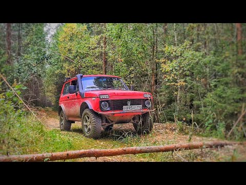 Видео: Карась клевал как с пулемета! Рыбалка 2022 на Ниве через off-road.
