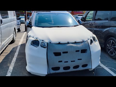 Видео: Летний перегон Honda Vezel