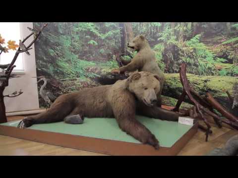 Видео: По городам и весям Елец Липецкой области