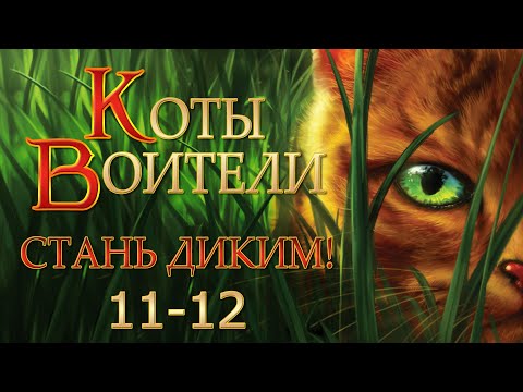 Видео: КОТЫ ВОИТЕЛИ - 1 {Стань Диким!} #11-12. Озвучка Готовим Вкусняшки.