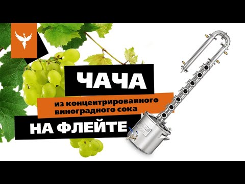 Видео: Соло, ой... 😀 "Чача" из концентрированного виноградного сока на Флейте