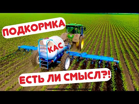 Видео: НАШ ОПЫТ МЕЖДУРЯДНОЙ ПОДКОРМКИ КУКУРУЗЫ КАСом