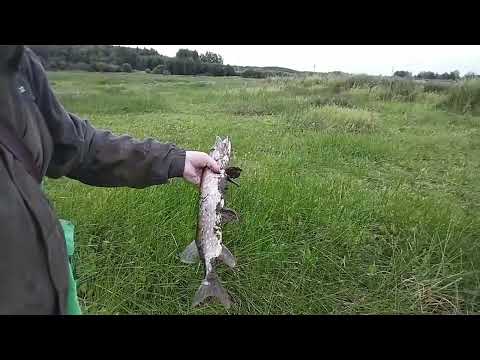 Видео:  первое видео про охоту, Очень старались подпишитесь 