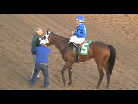 Видео: R9 ЧЕРЧИЛЛЬ-ДАУНС США 16 НОЯБРЯ 2025 ГОДА