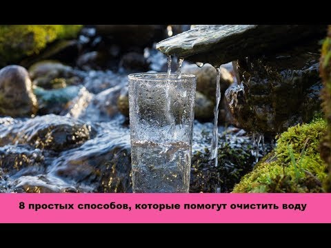 Видео: 8 простых способов, которые помогут очистить воду, если нет бытового фильтра