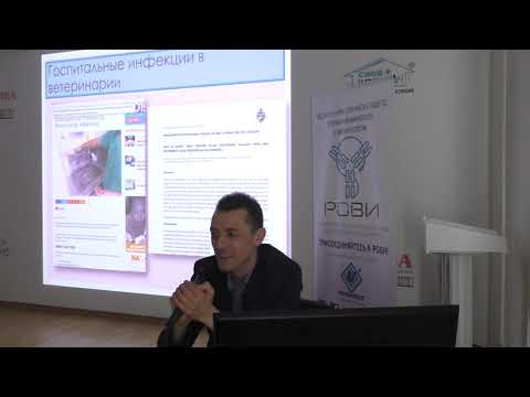 Видео: Устойчивость к антибиотикам в ветеринарии (Р.С. Овчинников, часть 2)