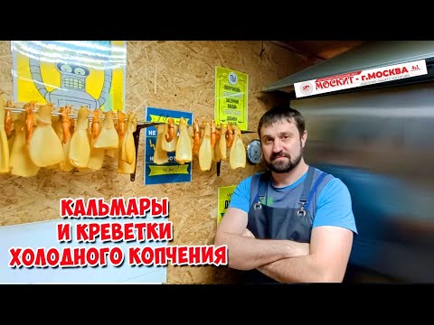 Видео: 💣💥 КАЛЬМАРЫ И КРЕВЕТКИ ХОЛОДНОГО КОПЧЕНИЯ В МОЕЙ КОПТИЛКЕ ОТ КОМПАНИИ МОСКИТ 💥💣