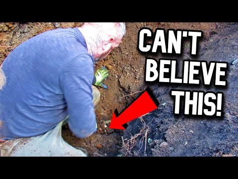 Видео: Потрясающее открытие заставило вас увидеть это!