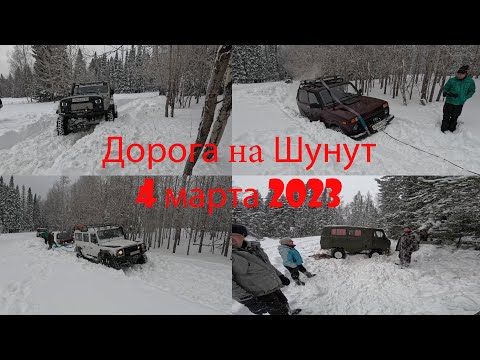 Видео: Шунут 4 марта 2023 года. Туда и обратно.