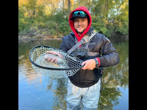 Видео: Ультралайт спиннинг. Ловля Форели на малых реках. Пригород Чикаго.  Trout Fishing.