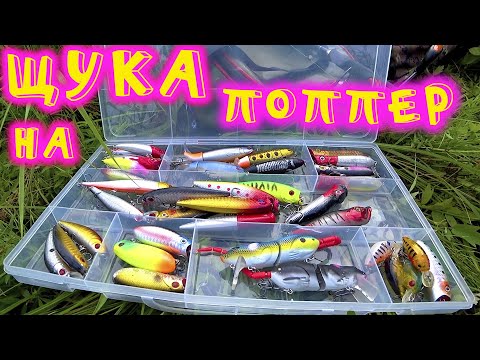 Видео: Ловля ЩУКИ на ПОВЕРХНОСТНЫЕ ПРИМАНКИ. Нашёл КЛЮЧ К УСПЕХУ. СЕРЕБРИСТЫЙ БОЧОНОК ЛУПИТ ЩУК В БОЛОТЕ.