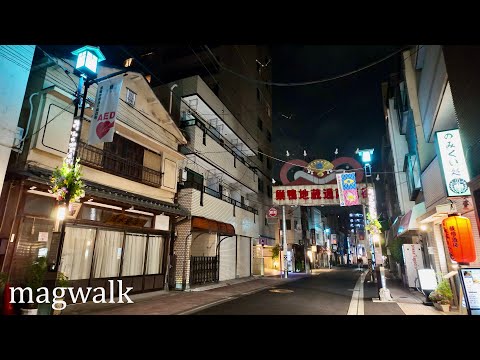Видео: Токио Сугамо Ночной Прогулка по Японии [4K]