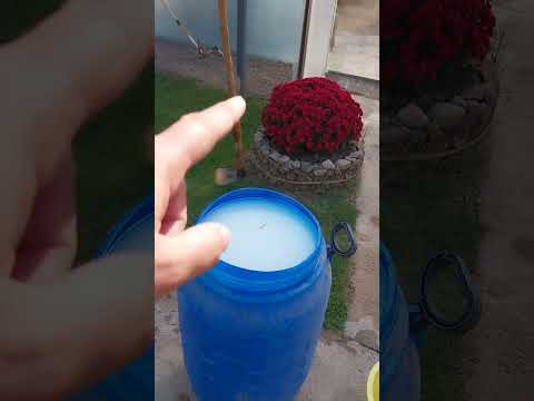 Видео: 24 октября 2025 г.