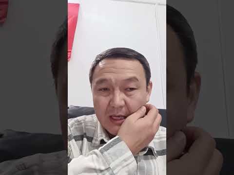 Видео: Торпок багуу, сут беруу ж.б. келип тушкон суроолорго жооп. #сут#ферма#бука#мал#музо#торпок