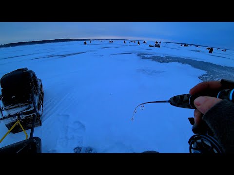 Видео: УШЁЛ от ТОЛПЫ и НАЛОВИЛ! КУЧА РЫБЫ ПОД НАМИ! ЗИМНЯЯ РЫБАЛКА 2024-2025 на ВОДОХРАНИЛИЩЕ!