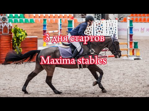 Видео: |БЫСТРЫЙ ВЛОГ|3 дня стартов в Maxima stables.