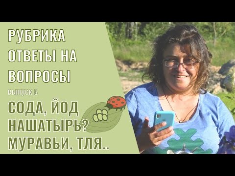 Видео: Ответы на вопросы выпуск 5