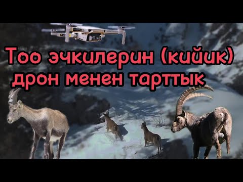 Видео: Кыргызстандын кооз жерлеринин бири Кызыл-Ункур -Базар-Коргон району