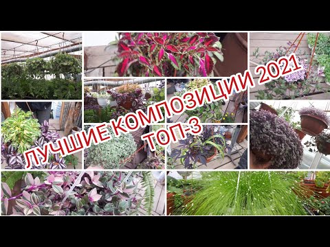 Видео: Обзор композиций сезона 2021.Что получилось...🤔😉