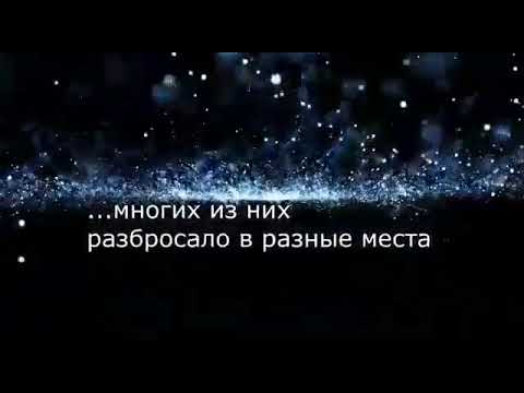 Видео: Койлык Антоновка. Выпускники 2004 г.