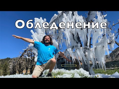 Видео: Сложный полет. Обледенение планера. Ливневый снег, низкая облачность, сильный ветер на посадке